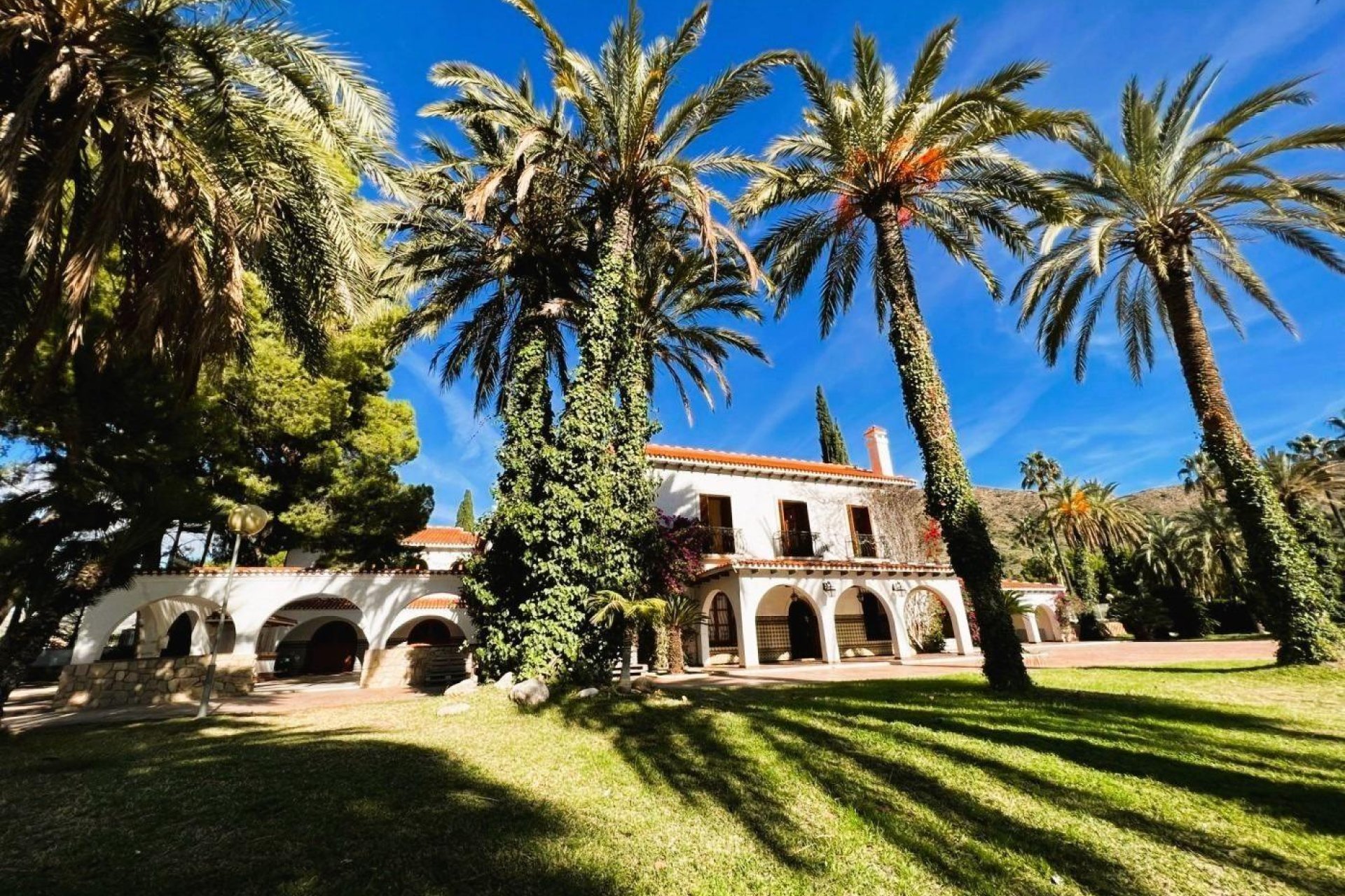 Resale - Finca rústica - Novelda - SERRETA