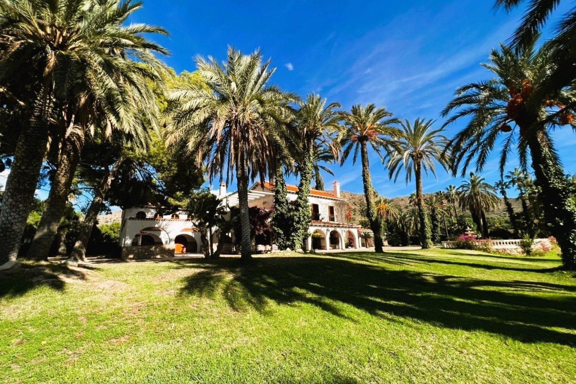 Resale - Finca rústica - Novelda - SERRETA