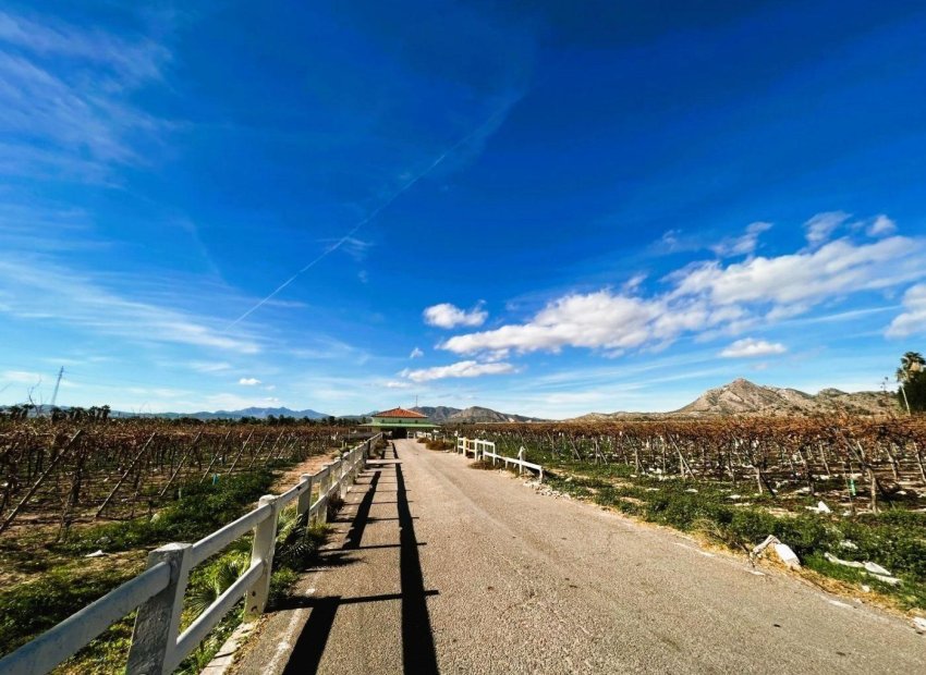 Resale - Finca rústica - Novelda - SERRETA