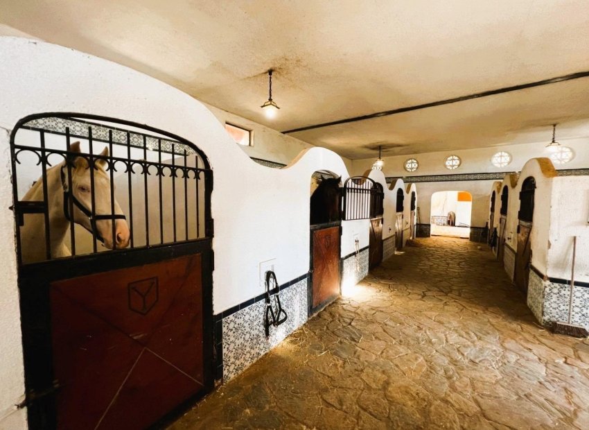 Resale - Finca rústica - Novelda - SERRETA