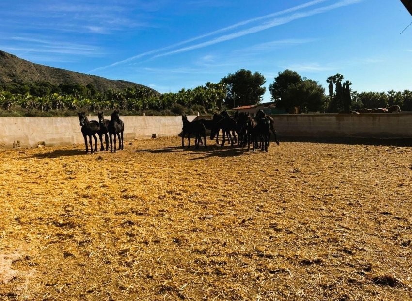 Resale - Finca rústica - Novelda - SERRETA