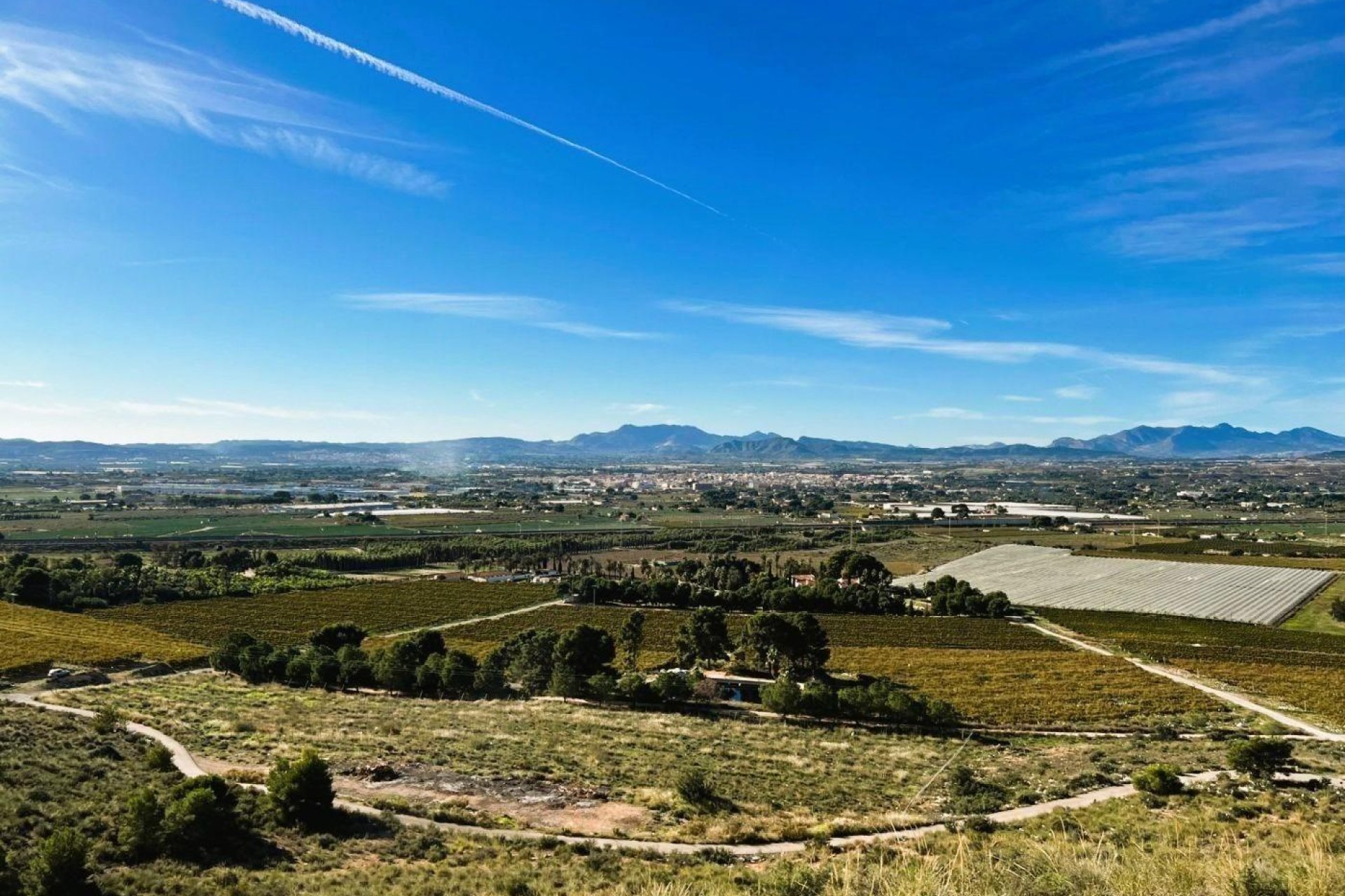 Resale - Finca rústica - Novelda - SERRETA