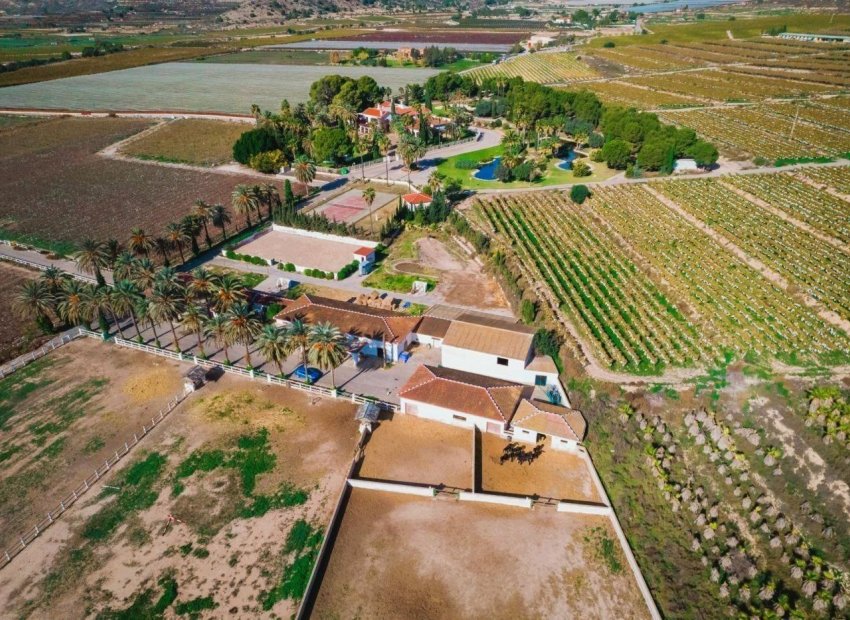 Resale - Finca rústica - Novelda - SERRETA