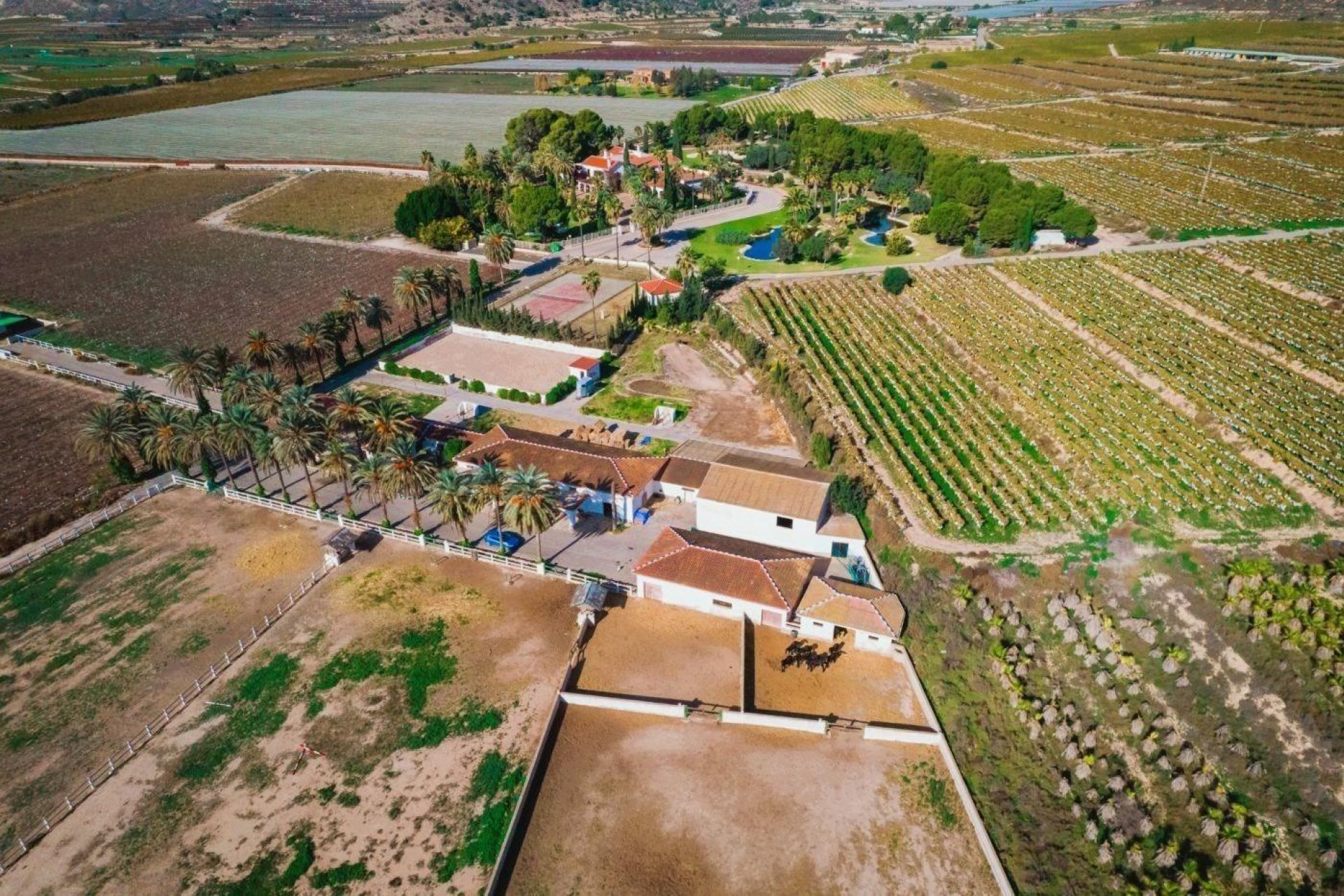 Resale - Finca rústica - Novelda - SERRETA