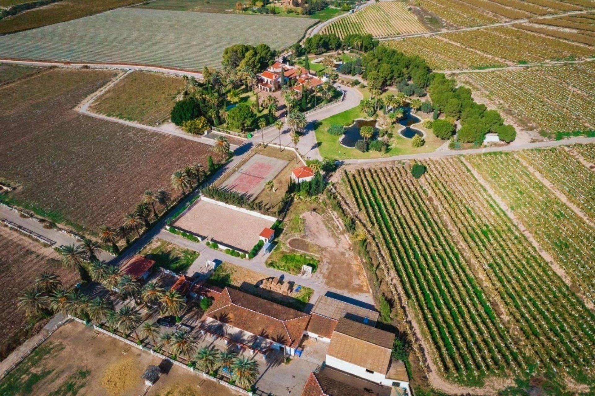 Resale - Finca rústica - Novelda - SERRETA