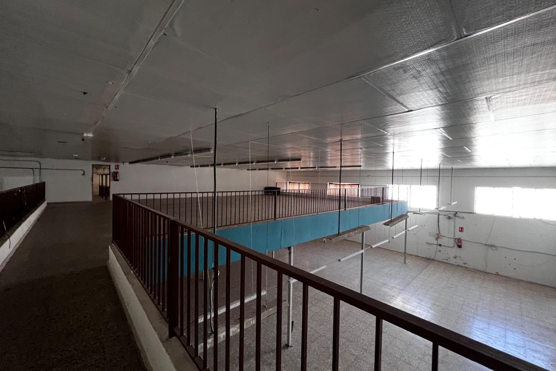Resale - Nave industrial - Albatera - Pueblo 11