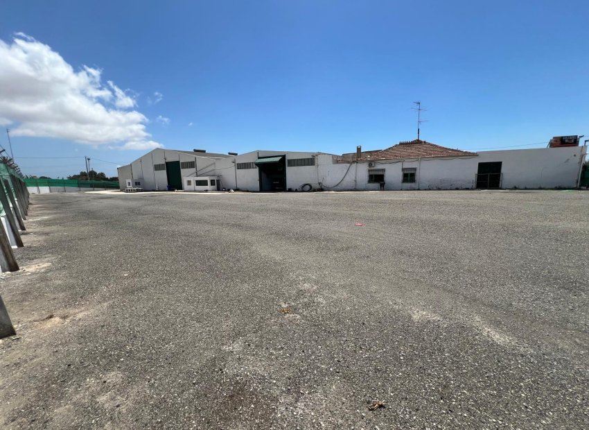 Resale - Nave industrial - Elche