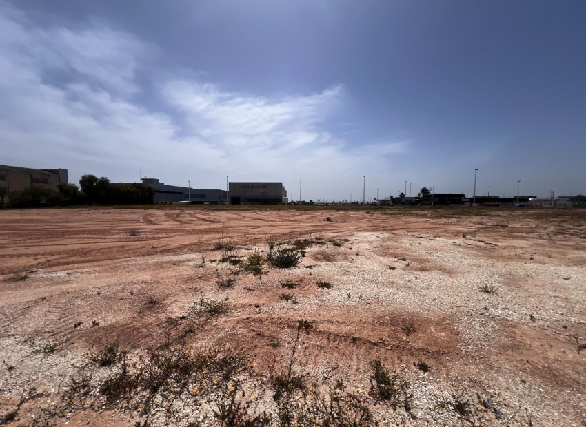 Resale - Parcela - Elche Pedanías - Llano de san jose