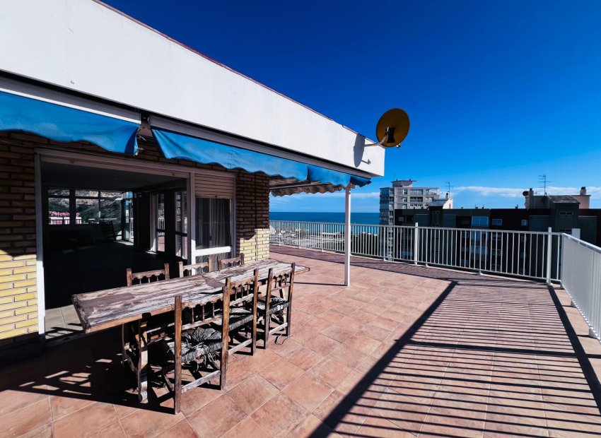 Resale - Penthouse - Alicante - Garbinet-Parque de las Avenidas