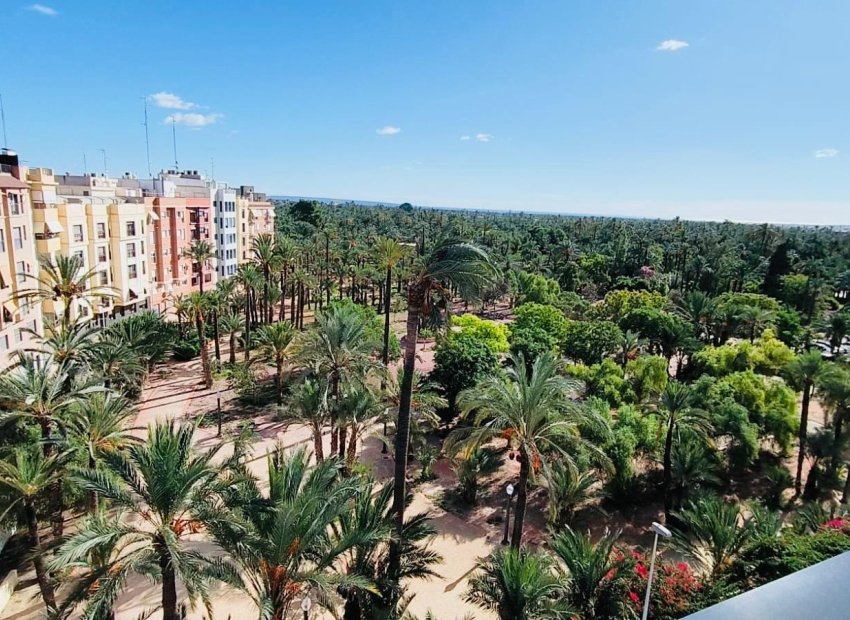 Resale - Penthouse - Elche - Centro