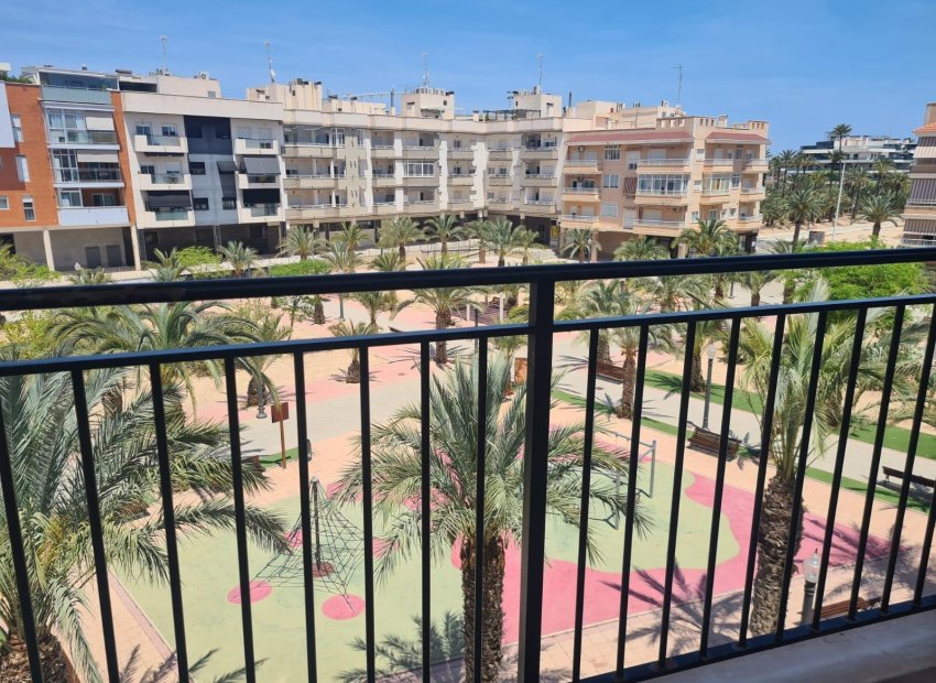 Resale - Piso - Elche - Campo de Fútbol