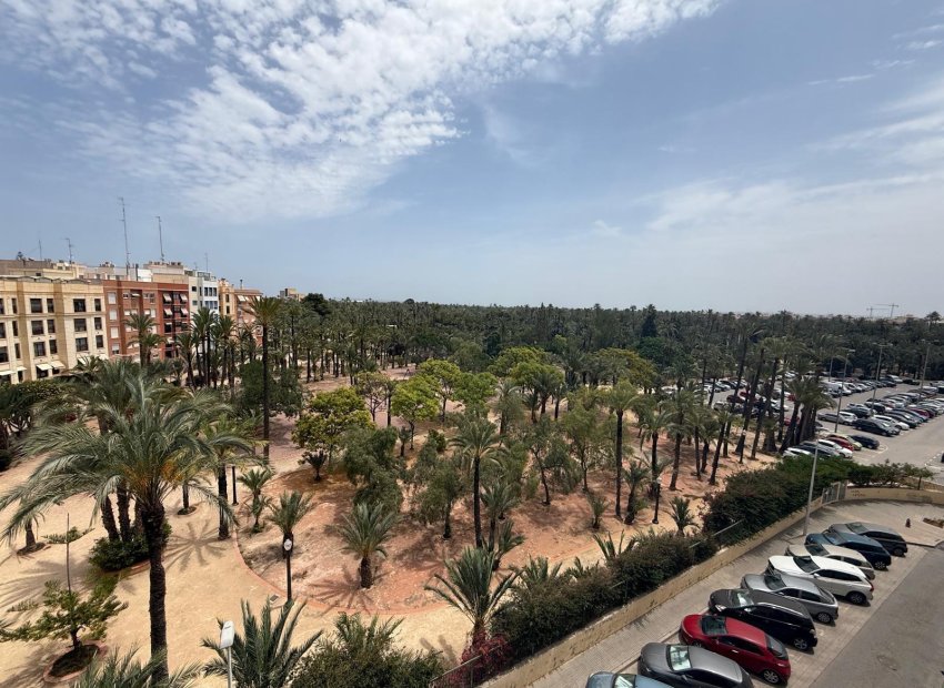 Resale - Piso - Elche - Centro