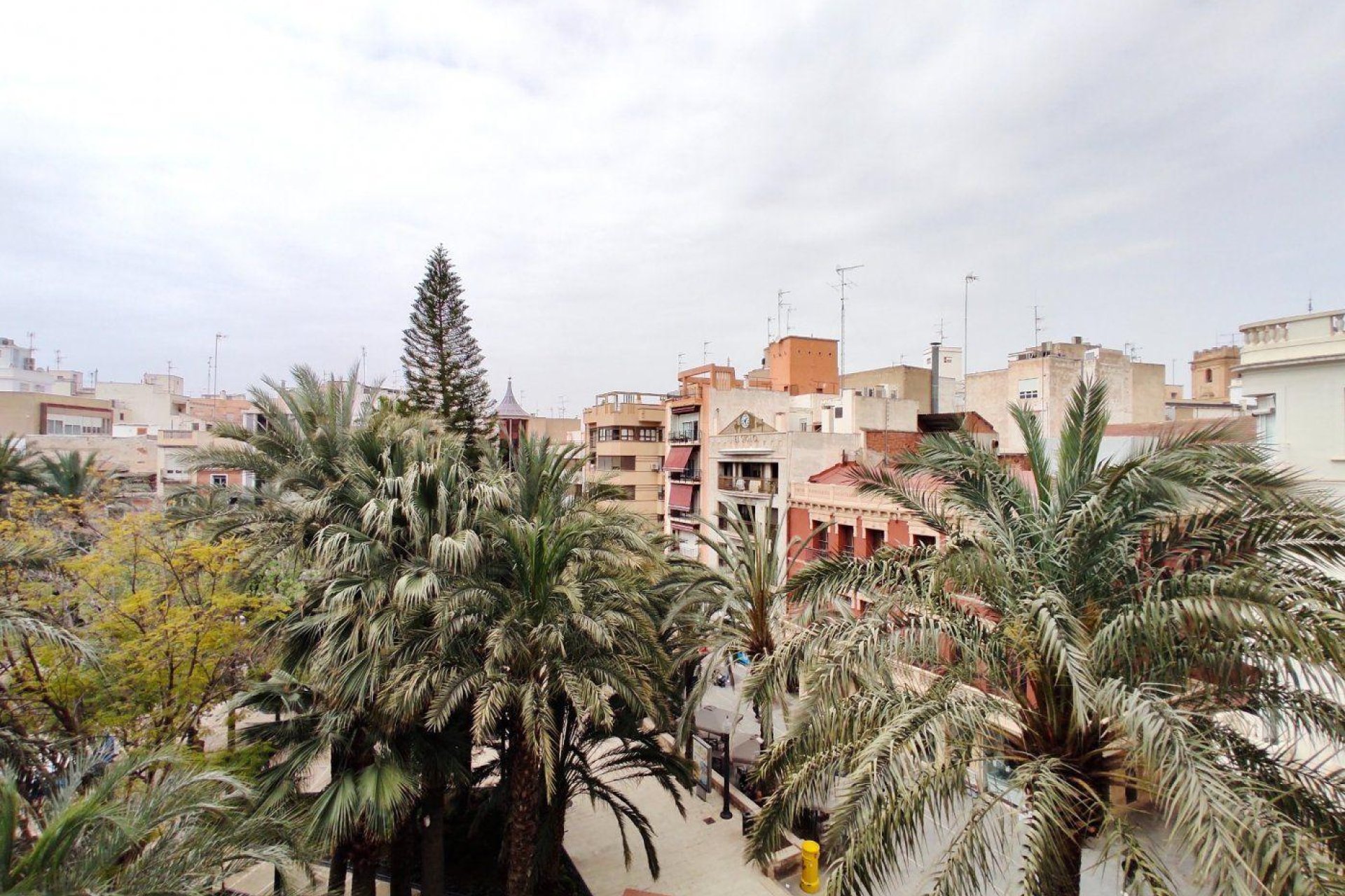 Resale - Piso - Elche - Centro