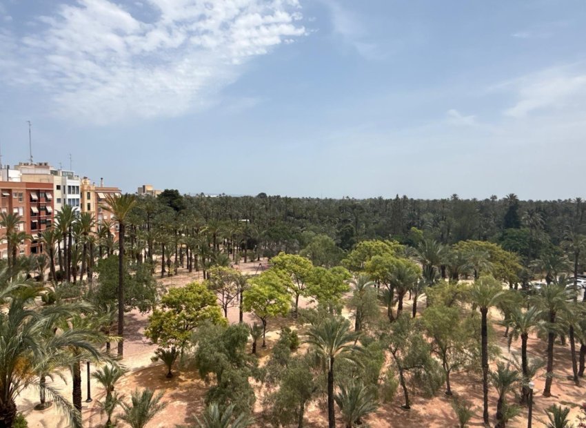 Resale - Piso - Elche - Centro