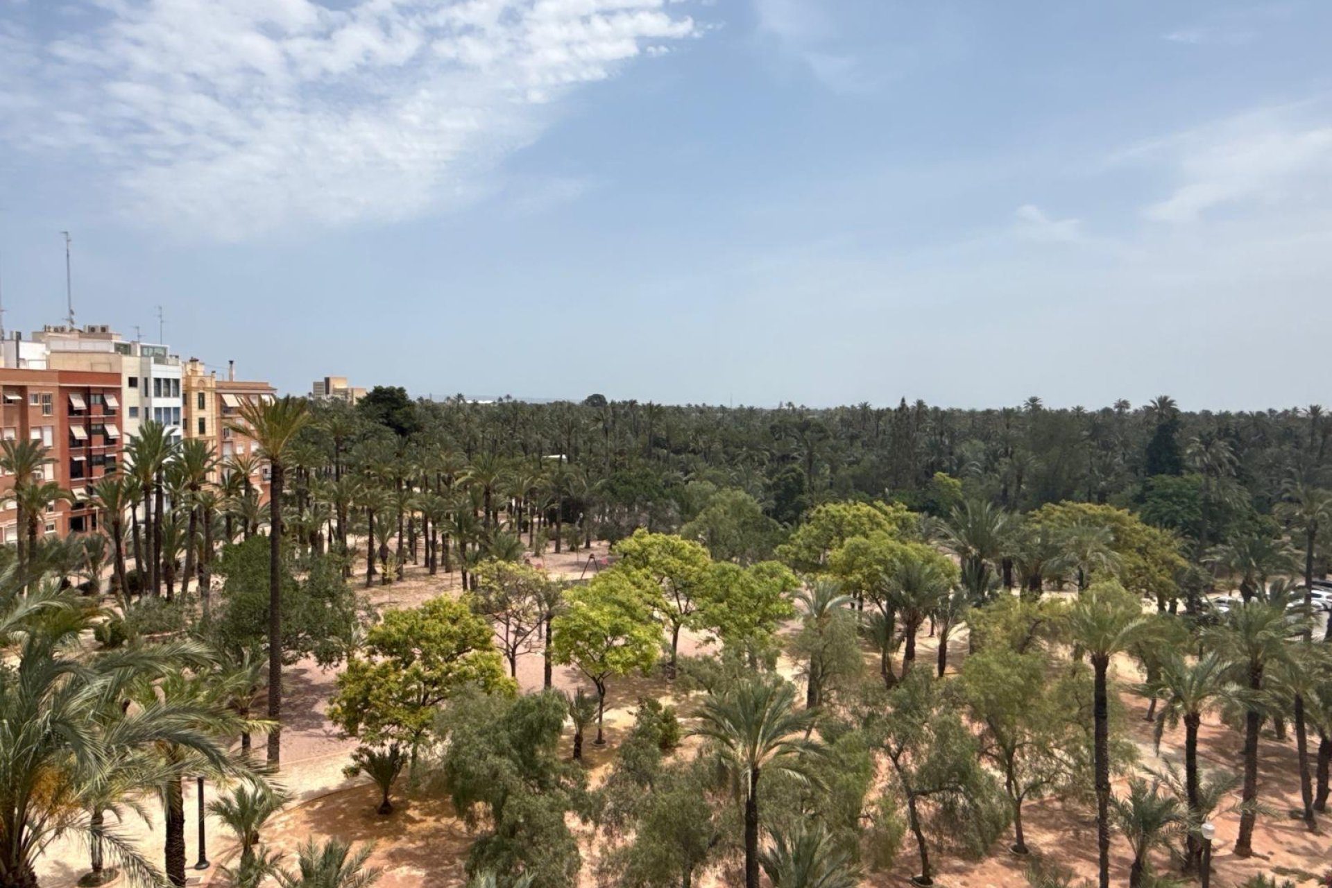 Resale - Piso - Elche - Centro