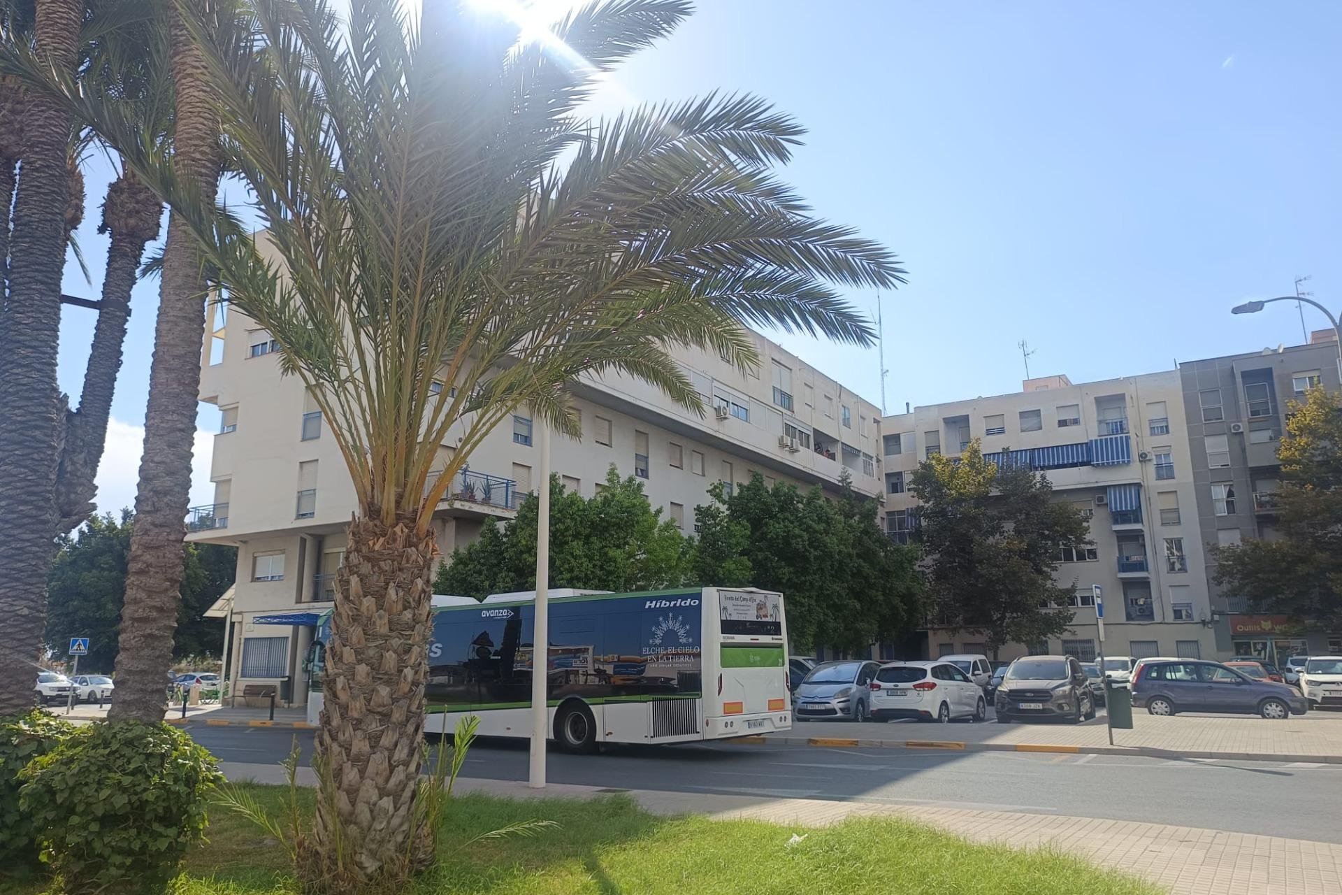 Resale - Piso - Elche - Sector V-El Canal