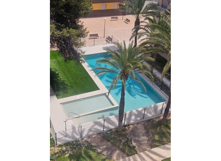 Resale - Piso - Elche - Zona Deportiva-Nuevo Altabix