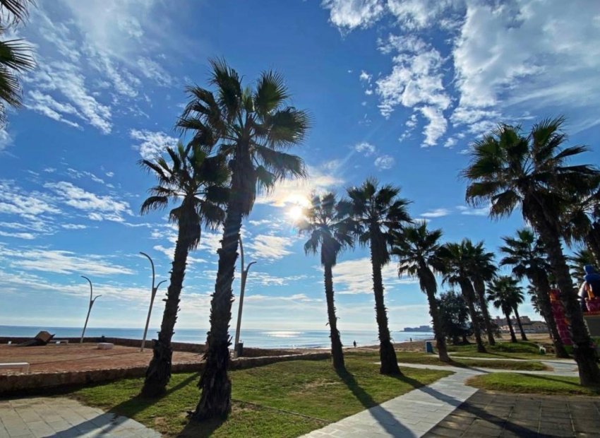 Resale - Piso - Torrevieja - Playa de la mata