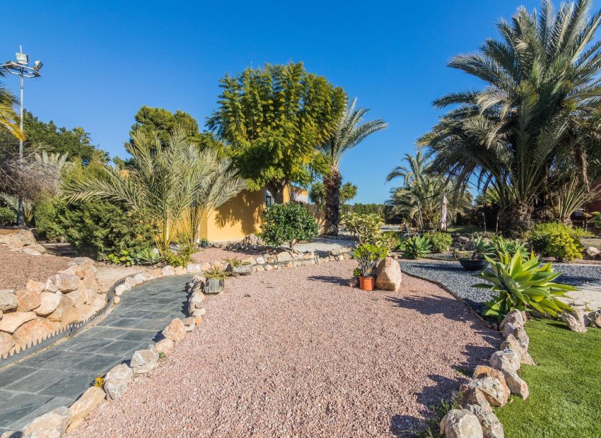 Resale - Villa de Lujo - Elche Pedanías - xLas bayas