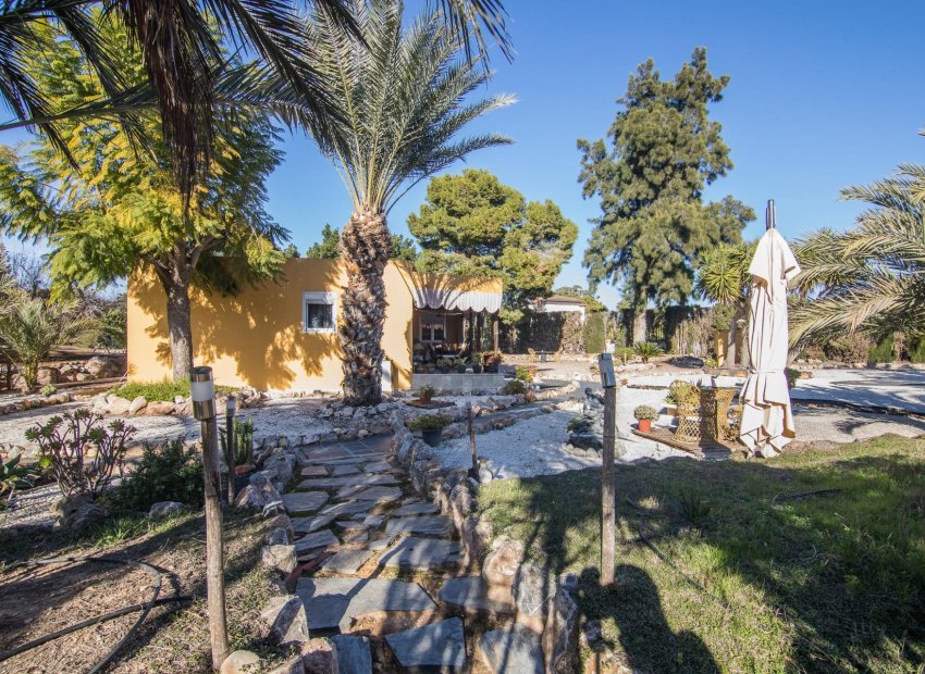 Resale - Villa de Lujo - Elche Pedanías - xLas bayas