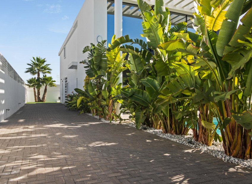 Resale - Villa de Lujo - San Fulgencio