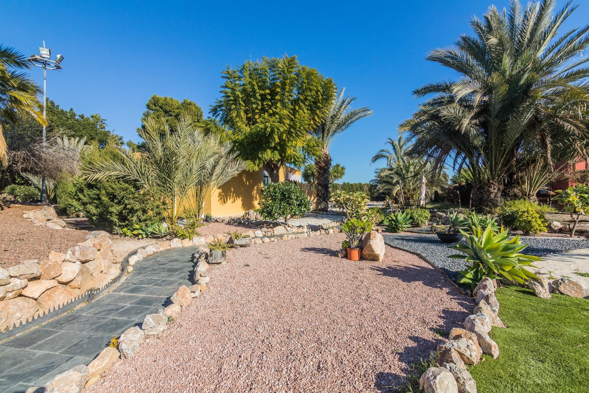 Resale - Villa - Elche Pedanías - xLas bayas