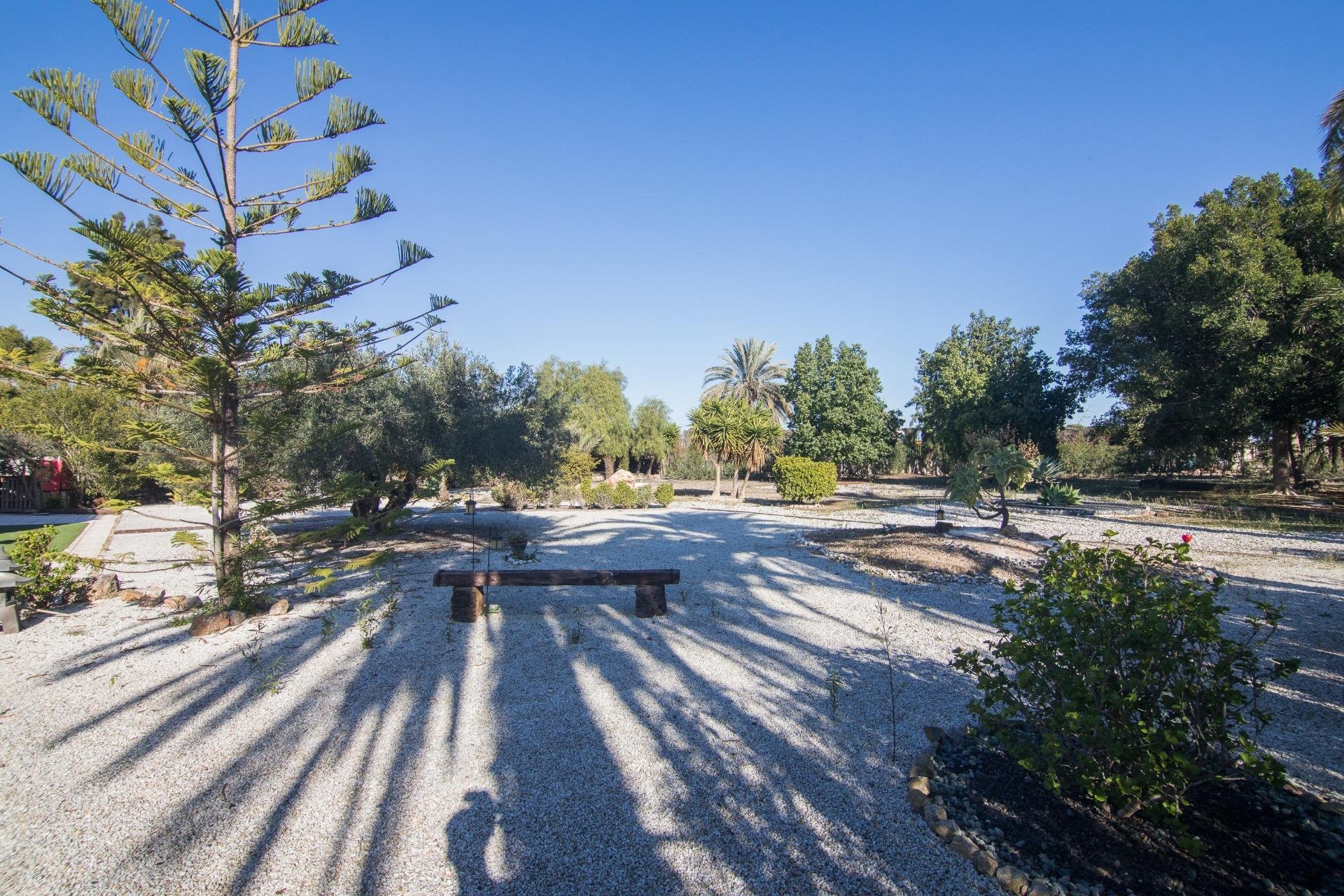 Resale - Villa - Elche Pedanías - xLas bayas