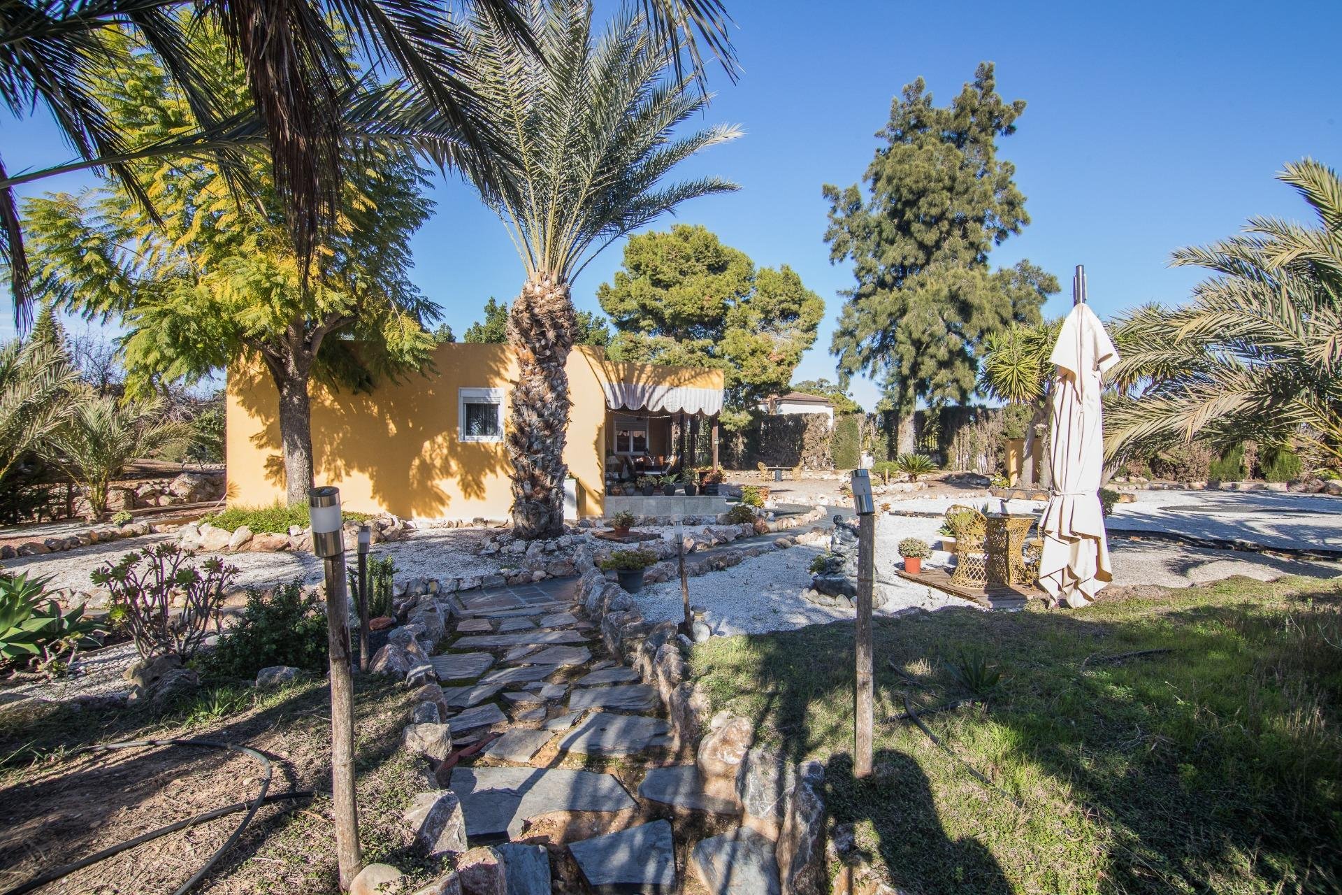 Resale - Villa - Elche Pedanías - xLas bayas