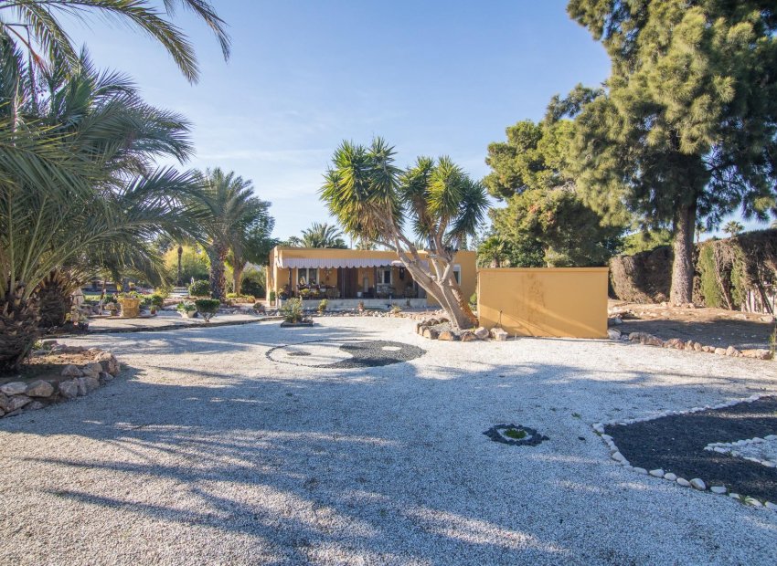 Resale - Villa - Elche Pedanías - xLas bayas