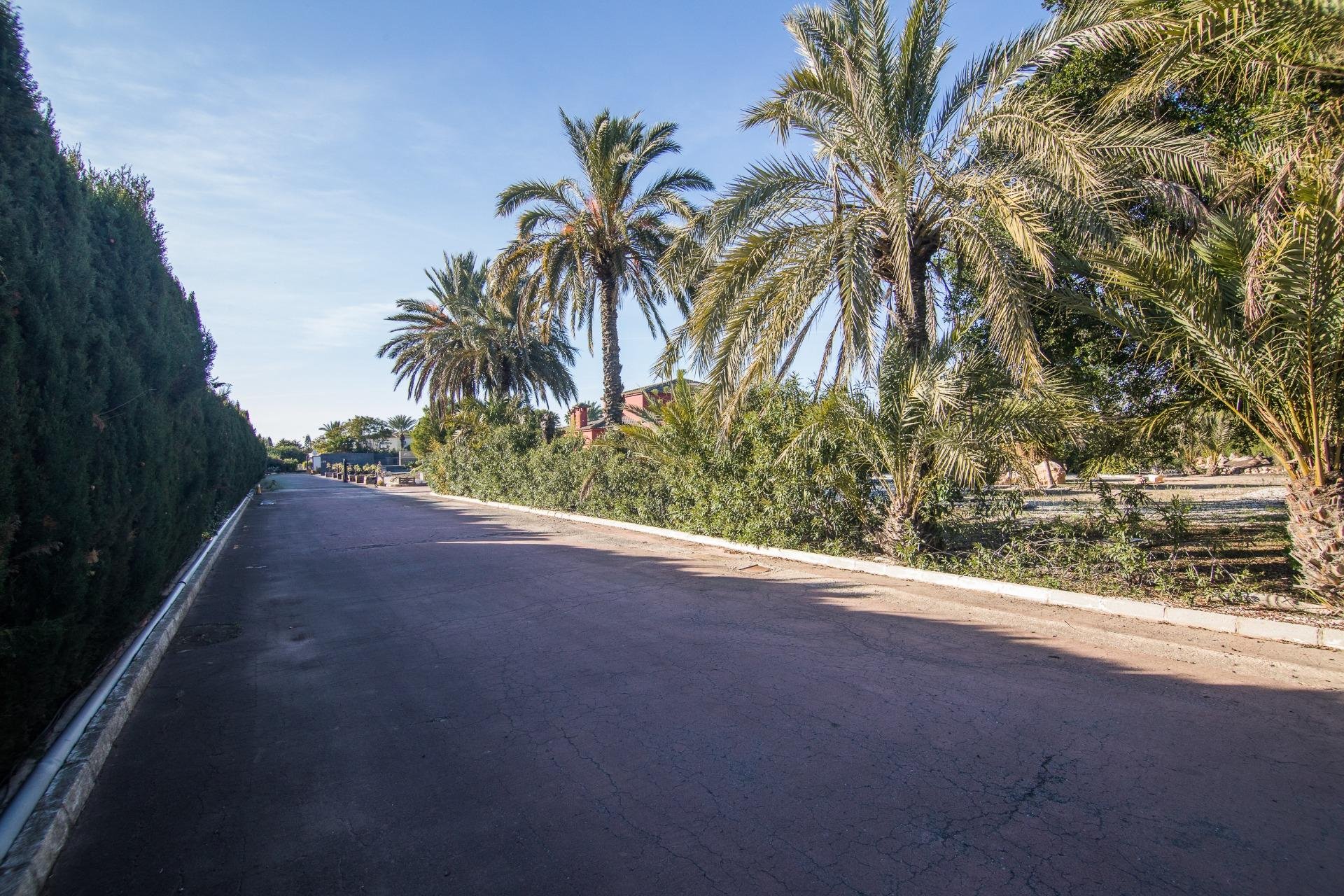 Resale - Villa - Elche Pedanías - xLas bayas