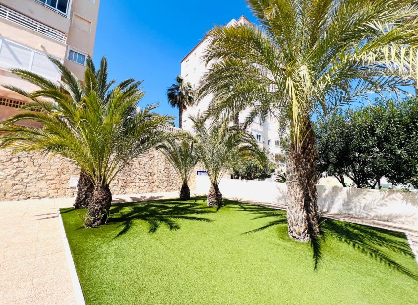 Reventa - Apartamento - Arenales del Sol
