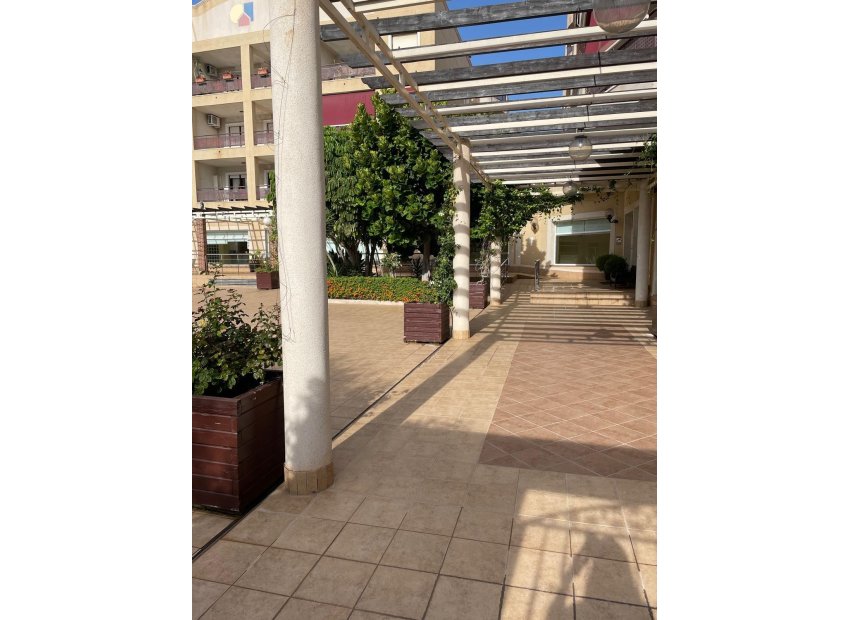 Reventa - Apartamento - Orihuela Costa - Campoamor