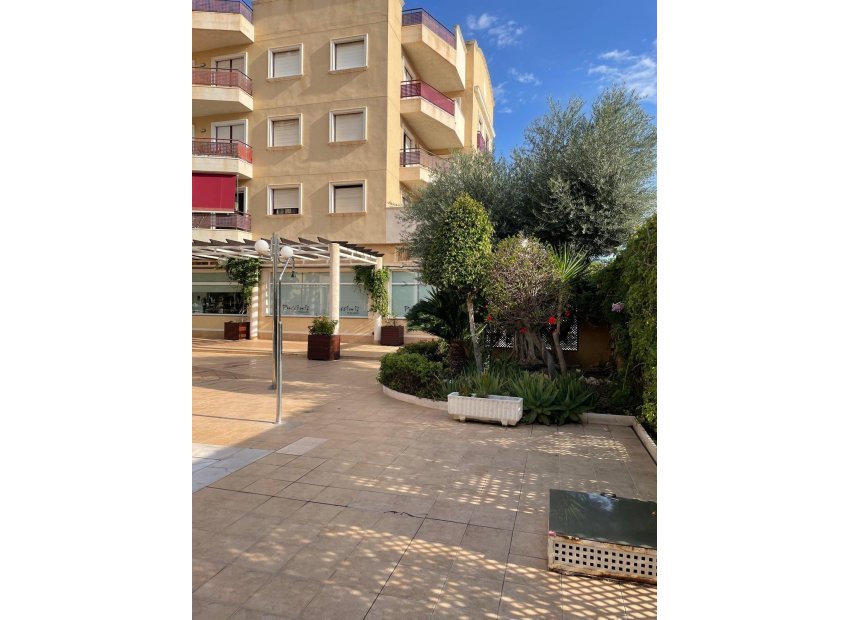 Reventa - Apartamento - Orihuela Costa - Campoamor