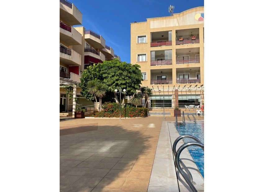 Reventa - Apartamento - Orihuela Costa - Campoamor