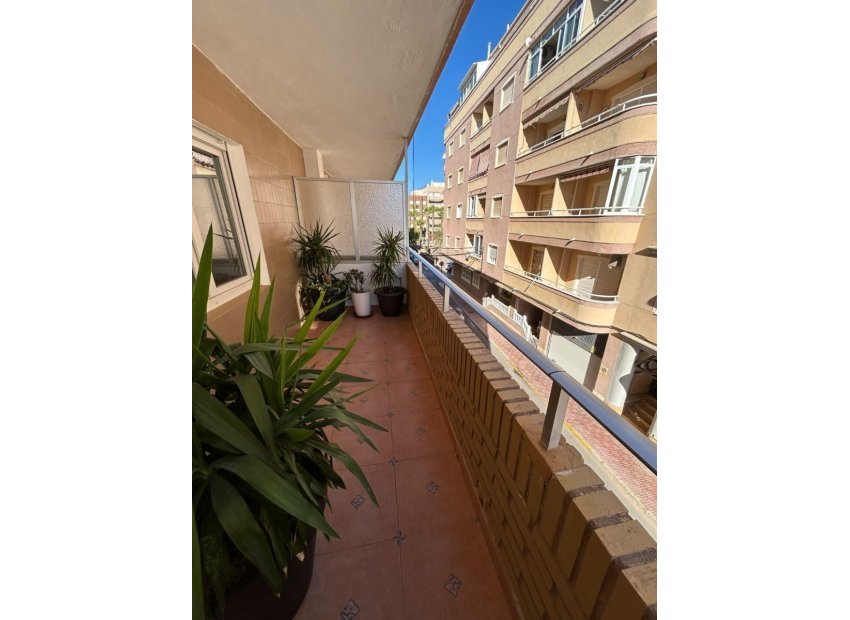 Reventa - Apartamento - Torrevieja - torrevieja