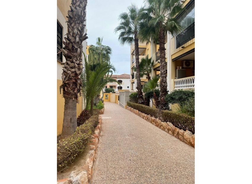 Reventa - Ático - Torrevieja - Playa de los Locos