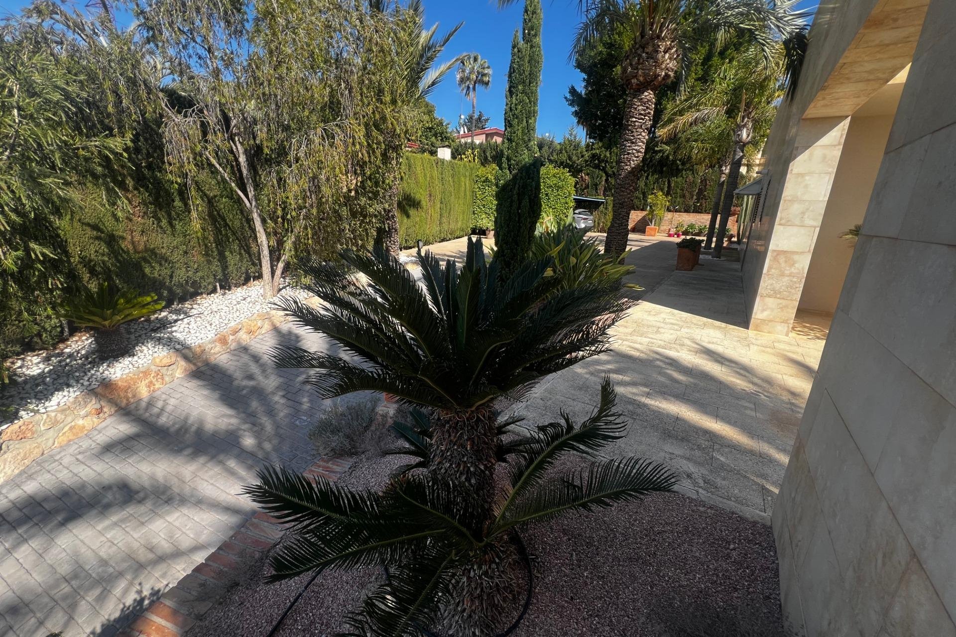 Reventa - Chalet - Elche - Bonavista