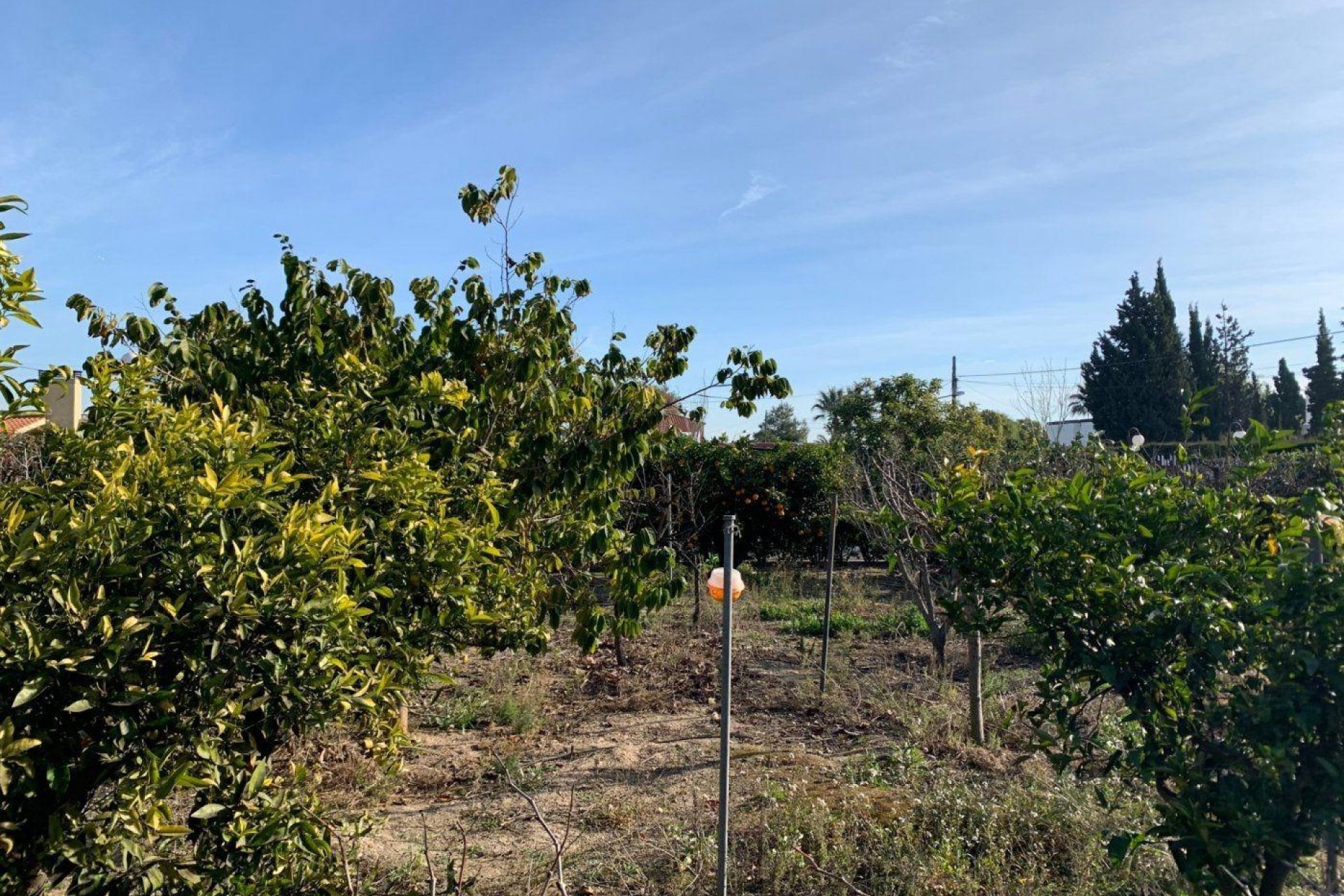 Reventa - Chalet - Elche Pedanías - Alzabares