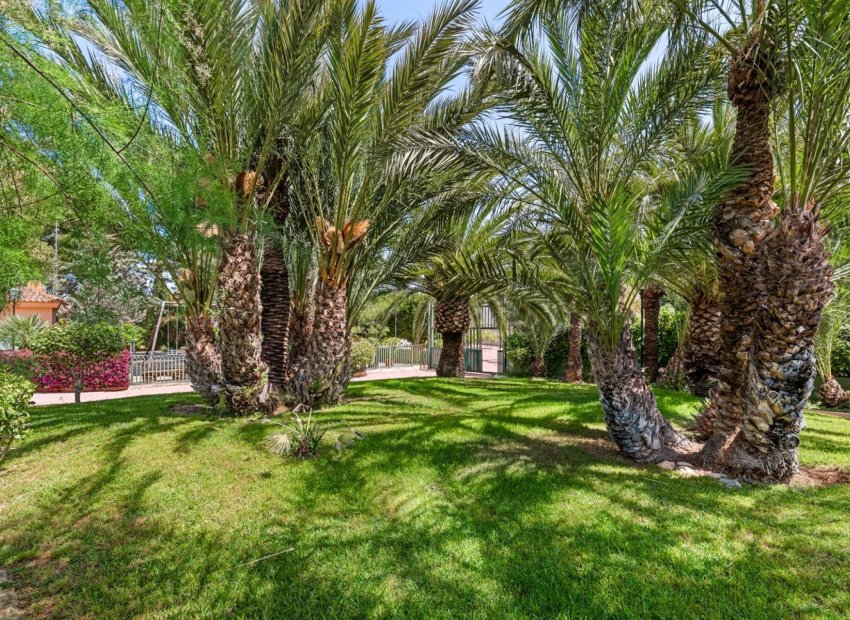 Reventa - Chalet - Elche Pedanías - Alzabares