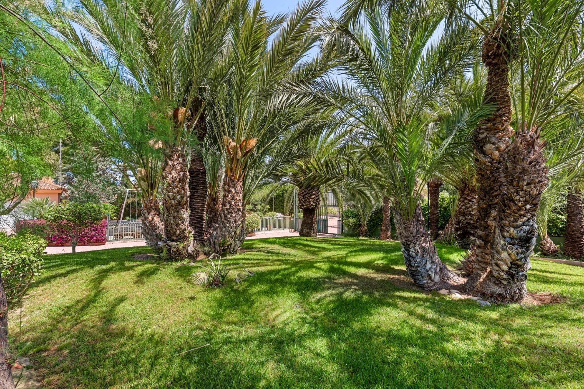 Reventa - Chalet - Elche Pedanías - Alzabares