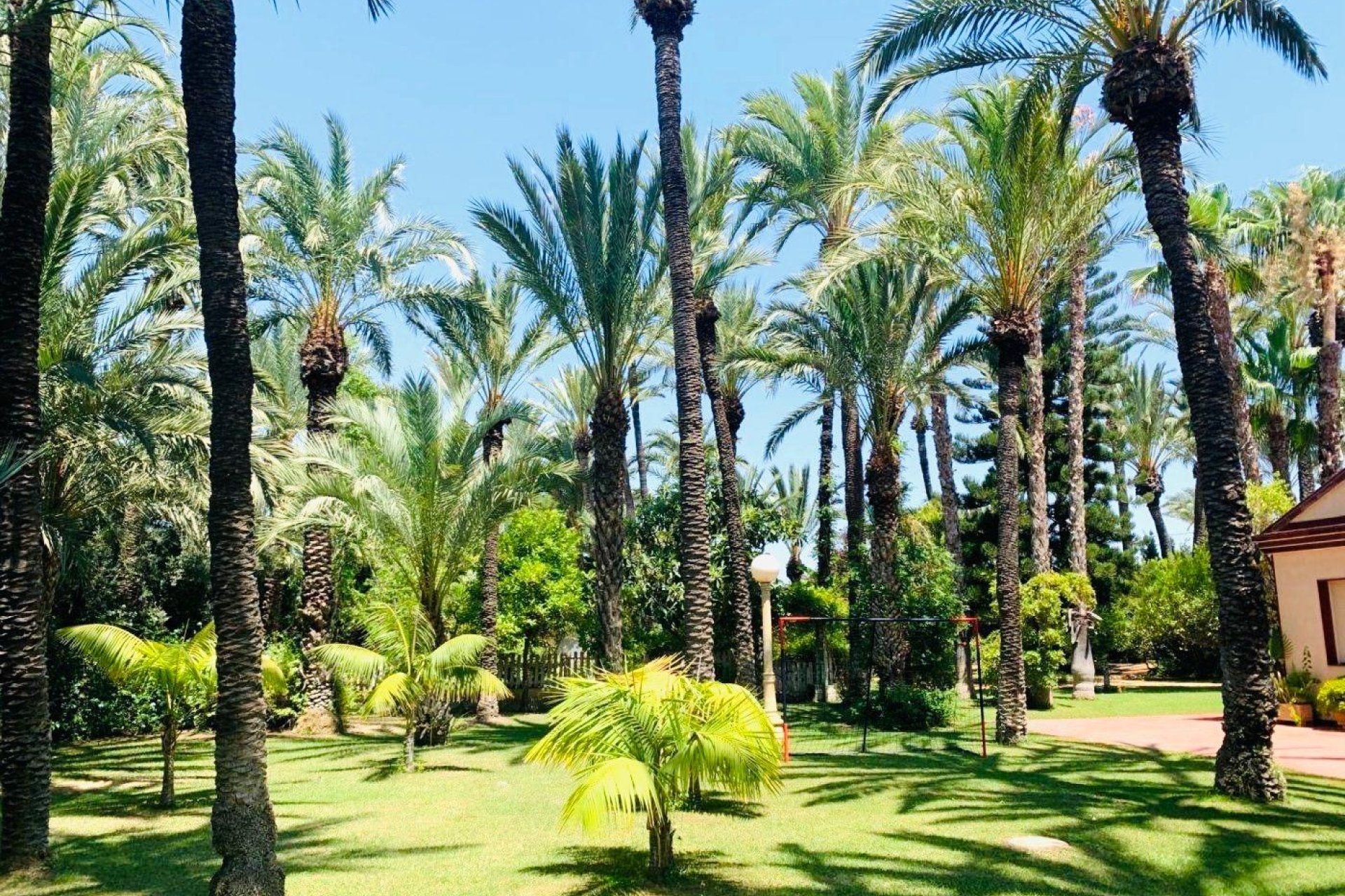 Reventa - Chalet - Elche Pedanías - Alzabares