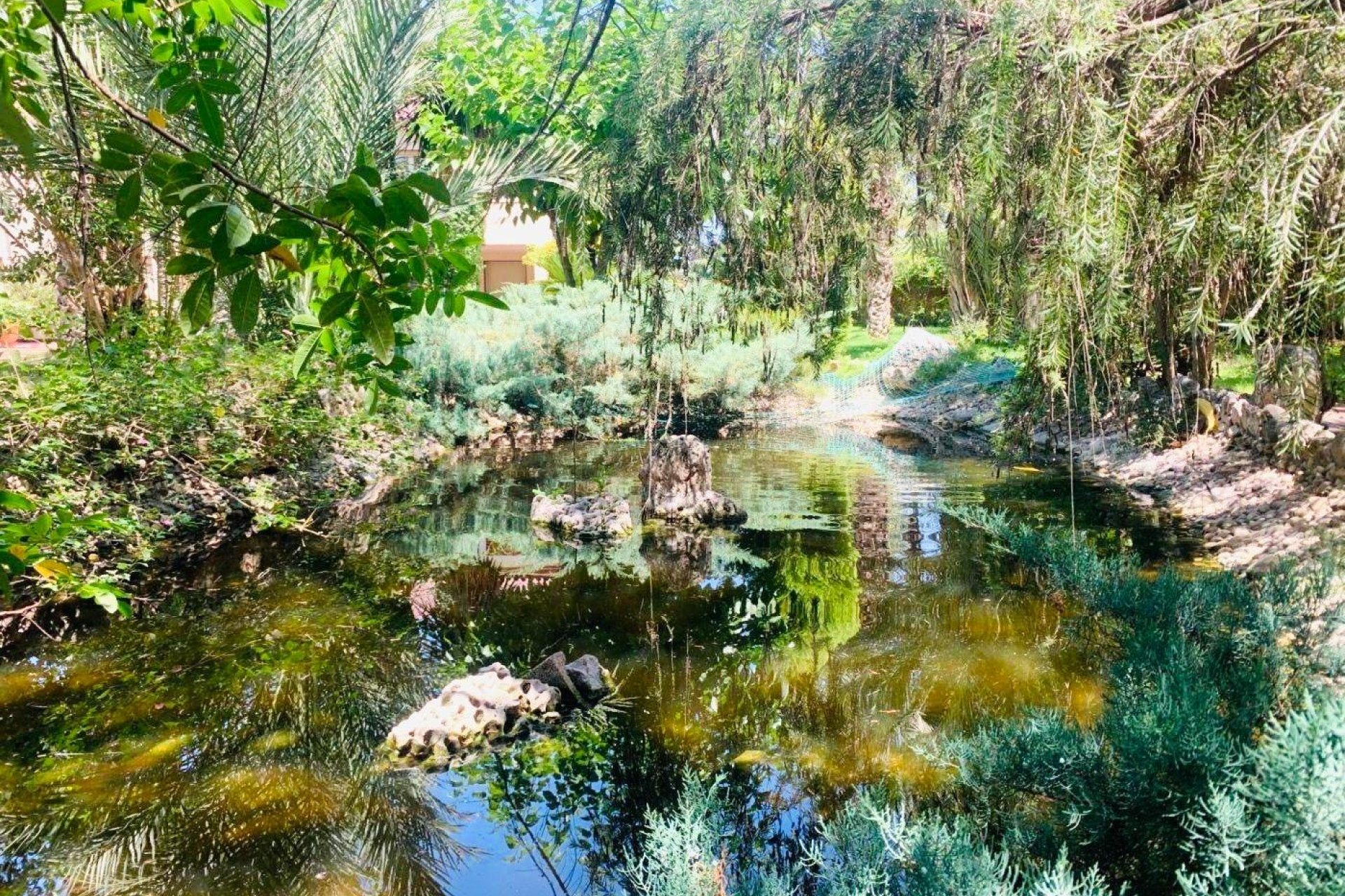 Reventa - Chalet - Elche Pedanías - Alzabares