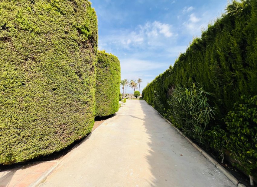 Reventa - Chalet - Elche Pedanías - Maitino-Perleta