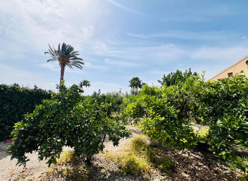 Reventa - Chalet - Elche Pedanías - Maitino-Perleta