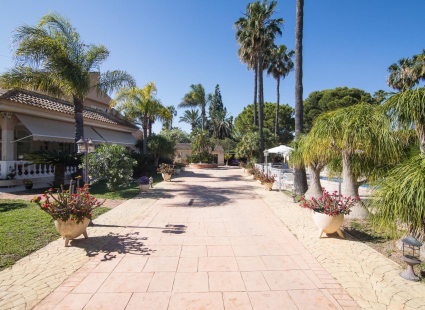 Reventa - Chalet - Elche Pedanías - Valverde