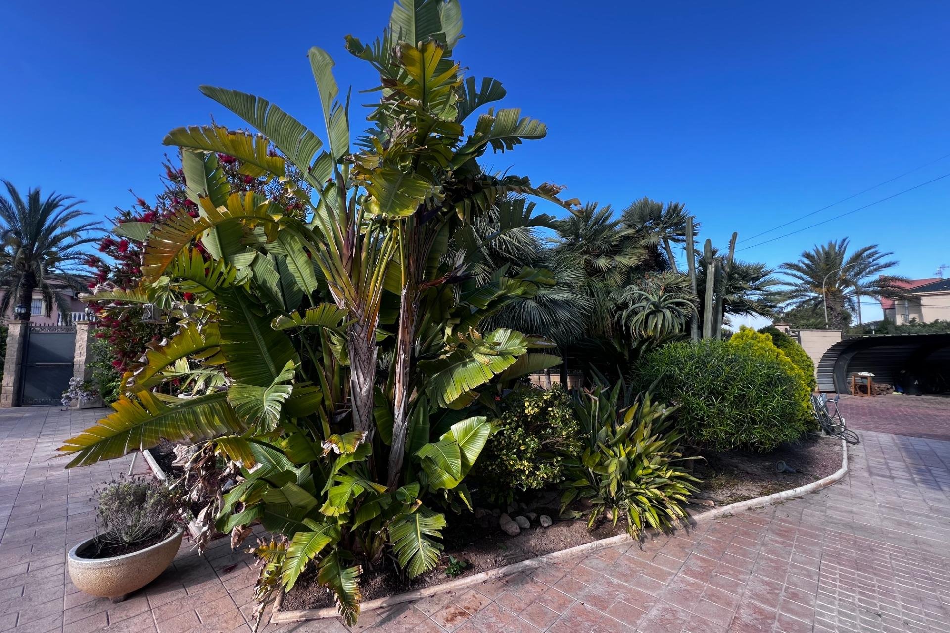 Reventa - Chalet - Elche Pedanías - Valverde