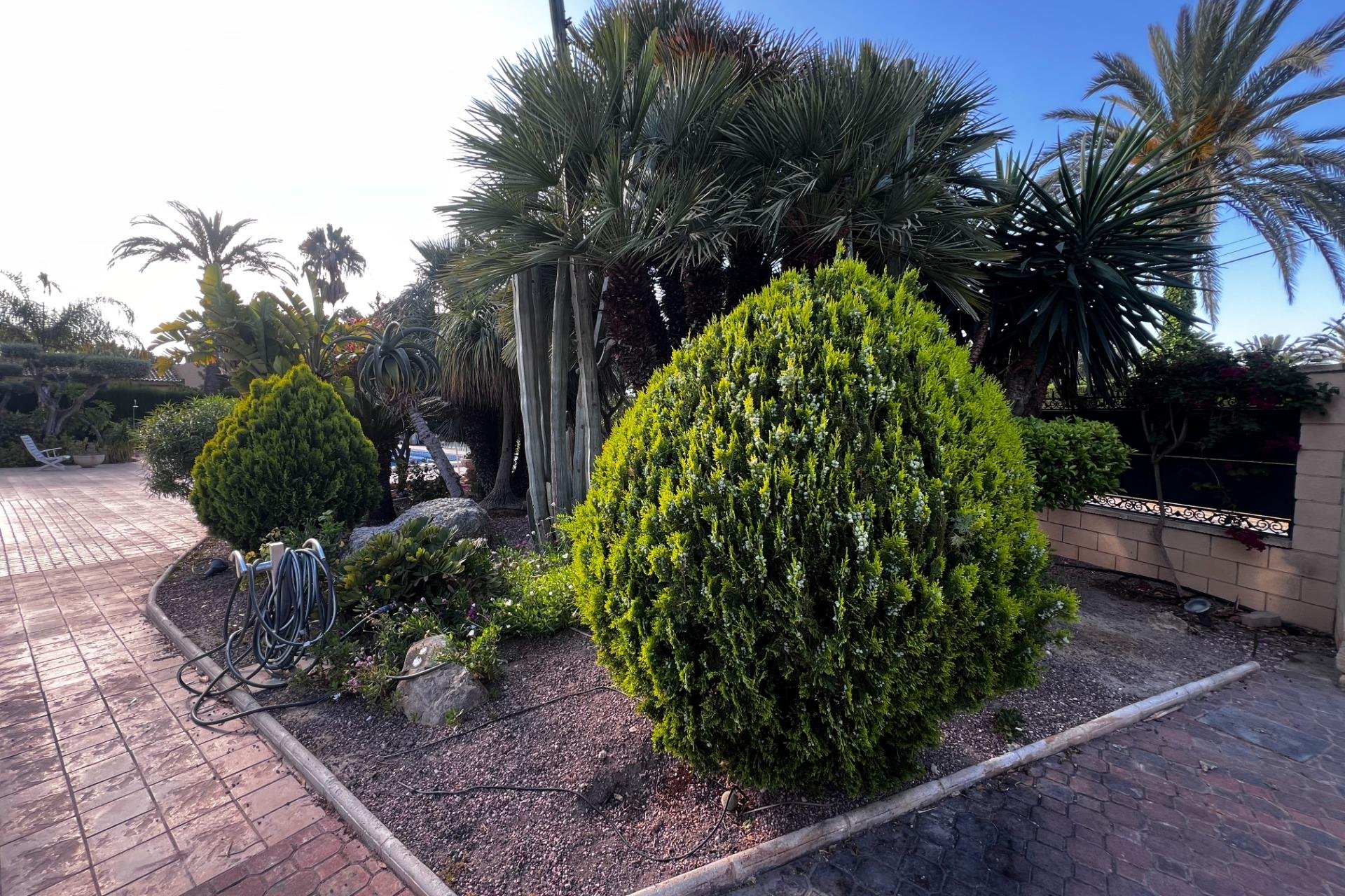 Reventa - Chalet - Elche Pedanías - Valverde