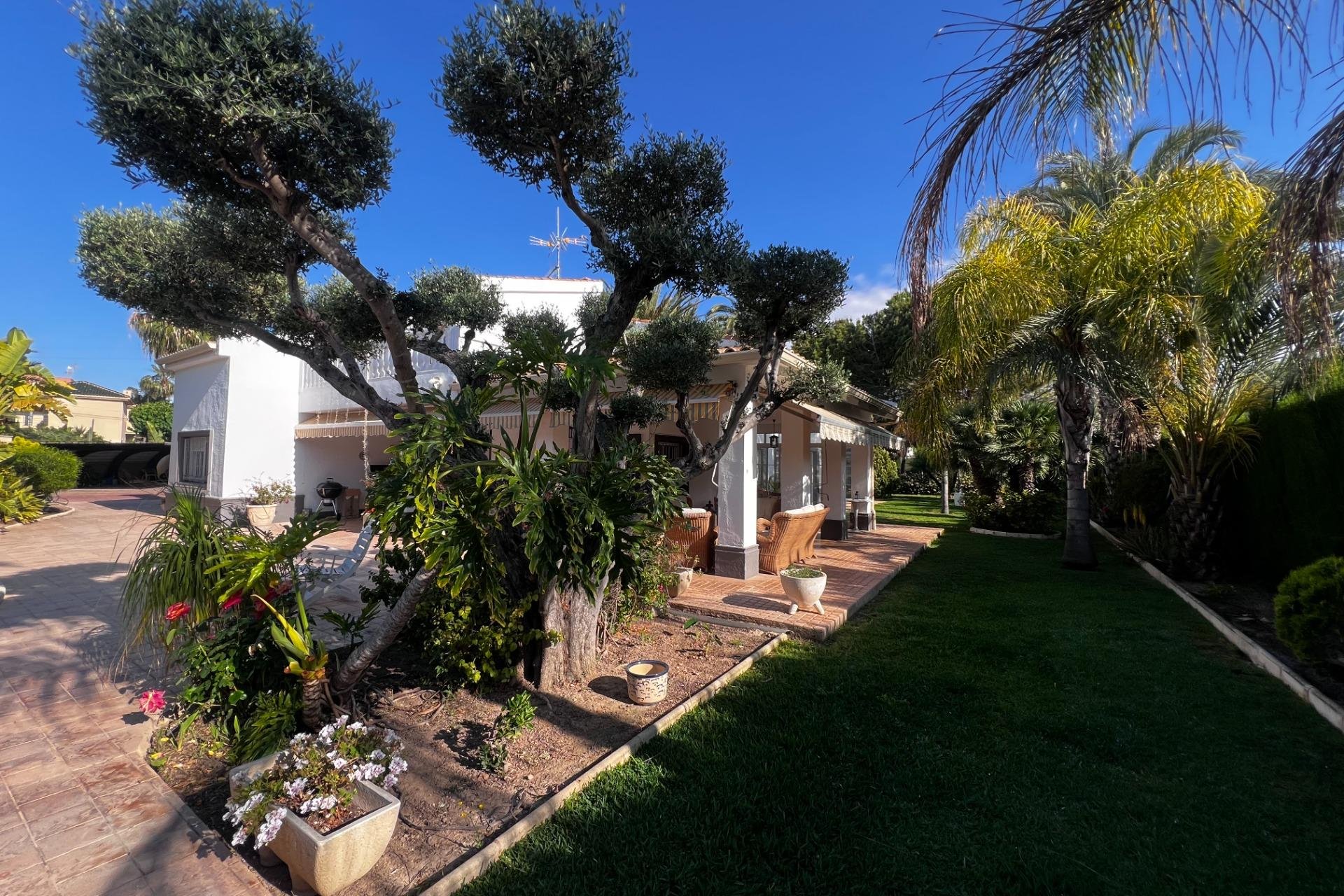Reventa - Chalet - Elche Pedanías - Valverde