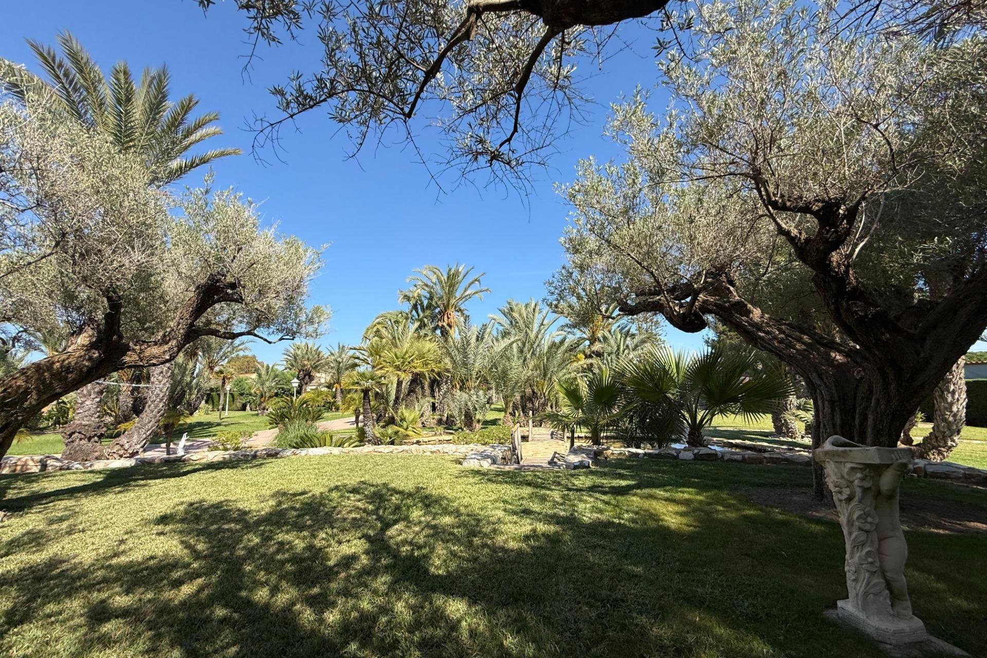 Reventa - Chalet - Elche Pedanías - Valverde