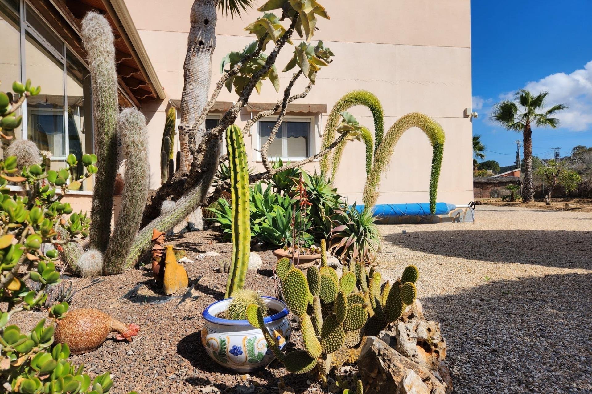 Reventa - Chalet - Orihuela - Molins-Campaneta-San Bartolomé